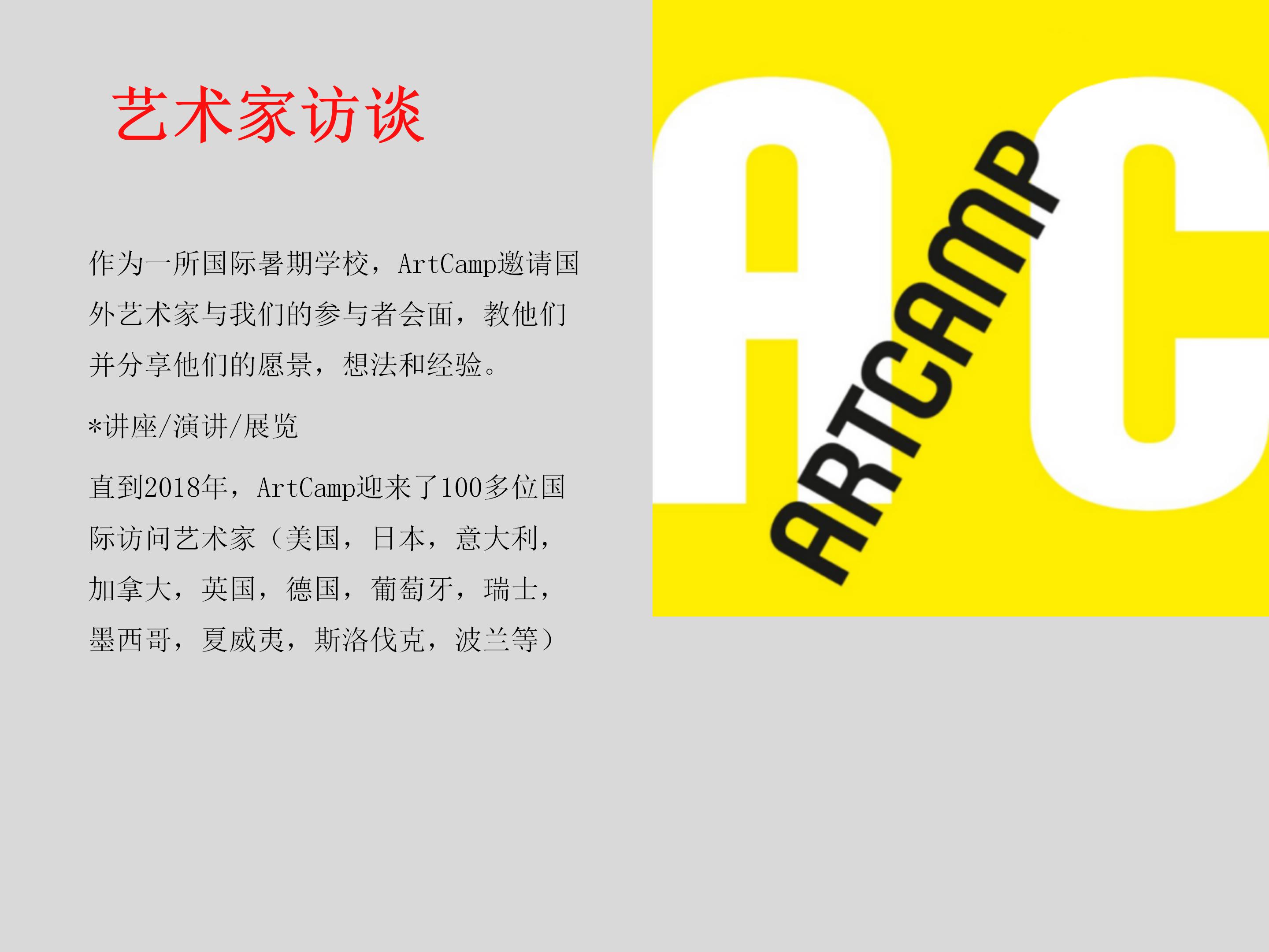 西波西米亚大学设计与艺术学院夏令营