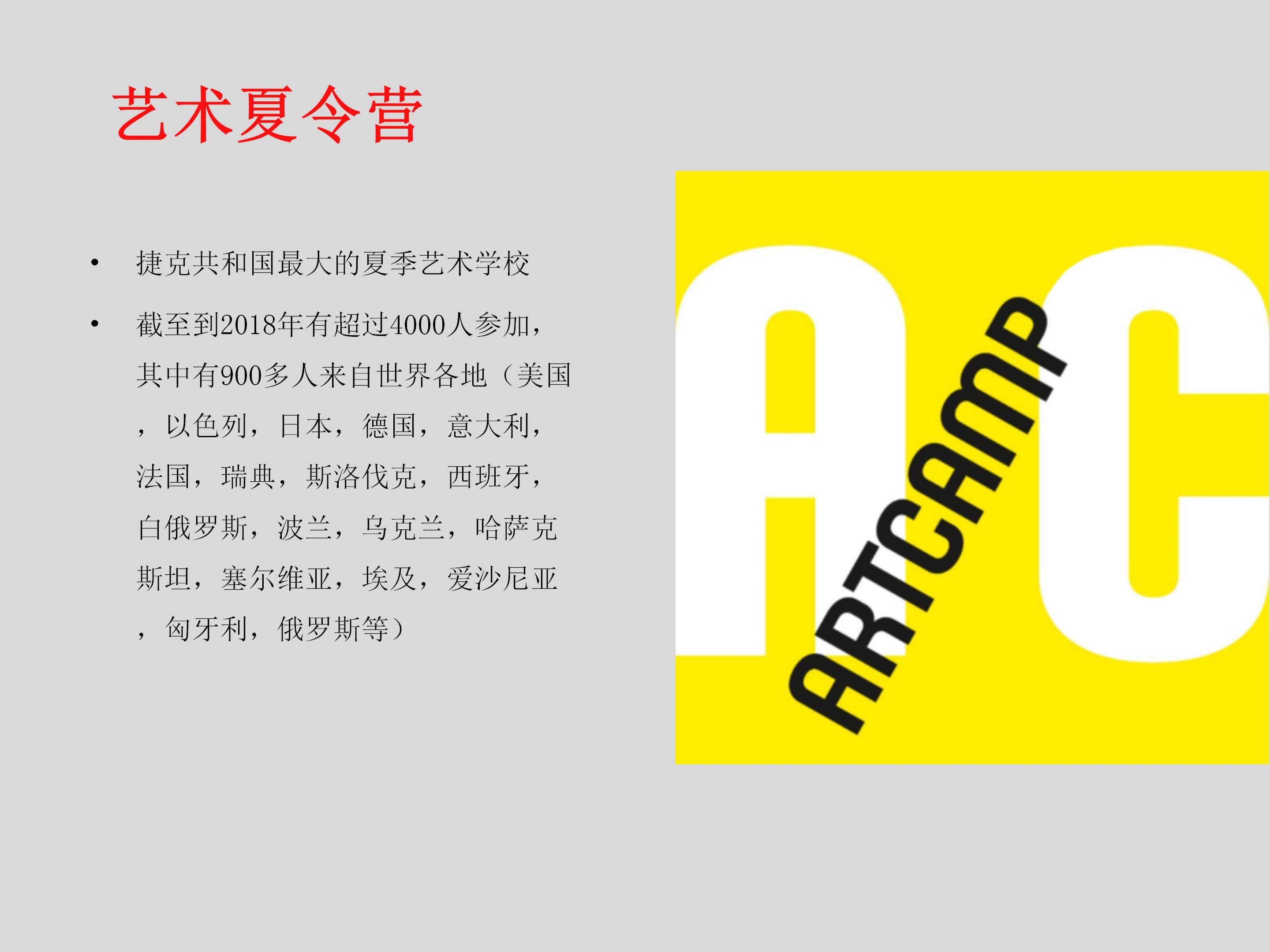 西波西米亚大学设计与艺术学院夏令营