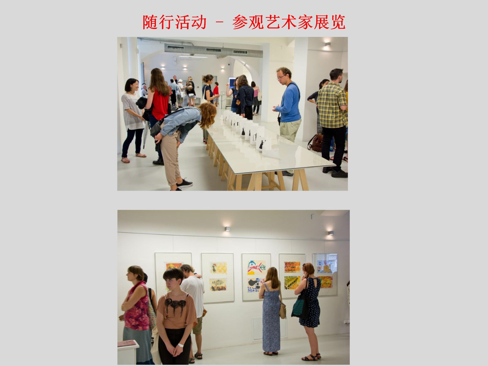 西波西米亚大学设计与艺术学院夏令营