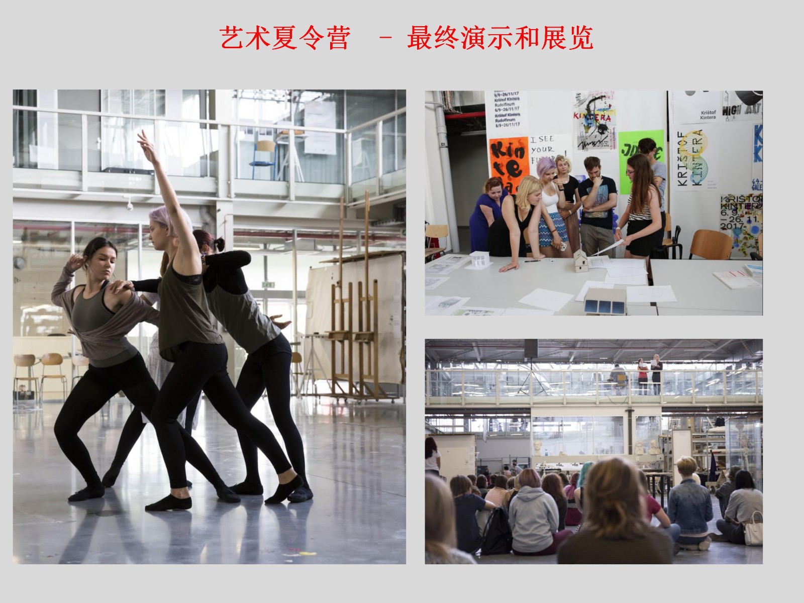西波西米亚大学设计与艺术学院夏令营
