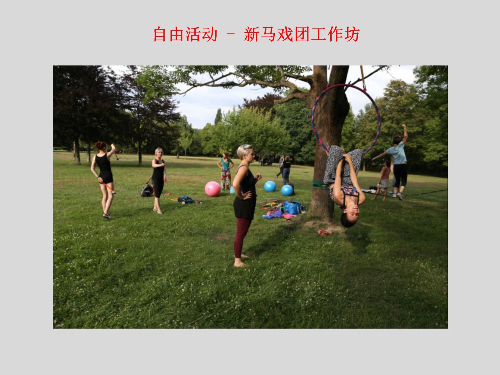 西波西米亚大学设计与艺术学院夏令营